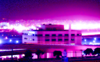 Night Lights